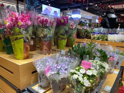 社区生鲜店 不卖鸡蛋不烧钱，如何用非传统策略赢得社区青睐？